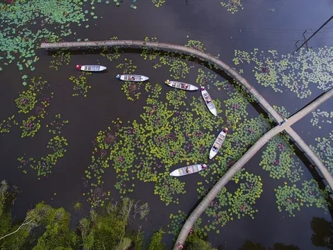 Trải nghiệm phong cảnh nguyên sơ, yên bình ở Làng nổi Tân Lập Long An