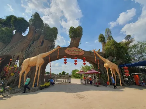 Mỹ Quỳnh Safari - Khám phá vườn thú đầu tiên của miền Tây